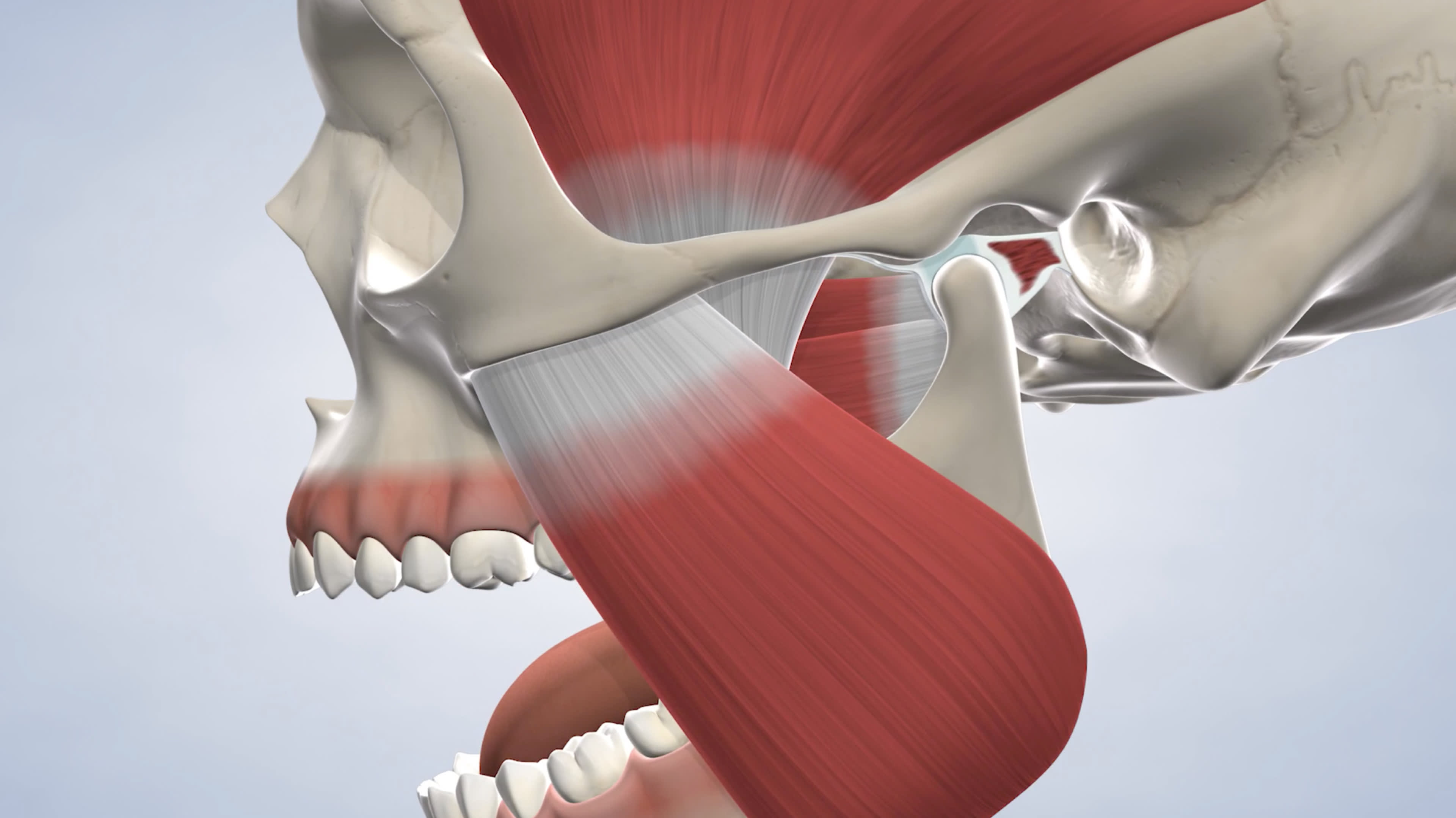 Instruction tmj